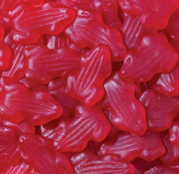 Picture for category Allen's Red Frogs